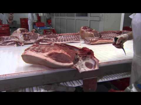 ATTEC Danmark A/S - Semiautomatic pork cutting