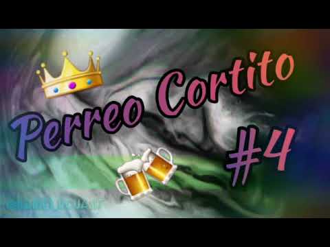 PERREO CORTITO #4 - Dj Dario official