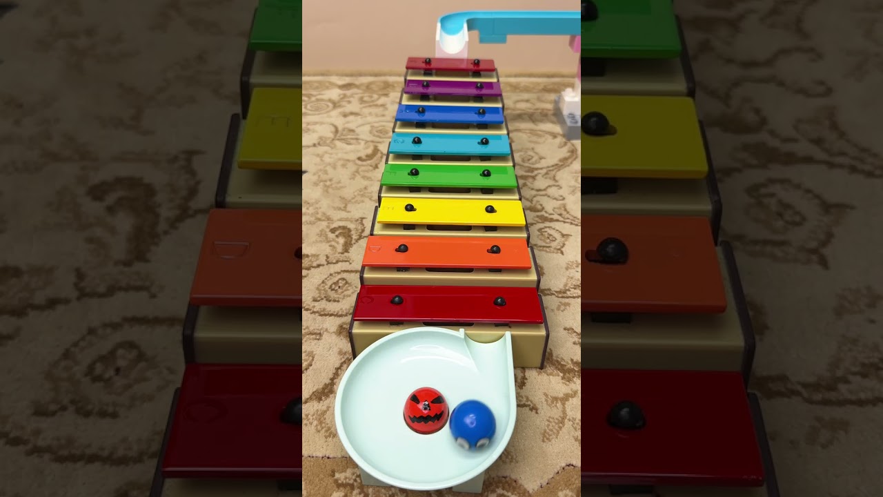 Marble Run &  Glockenspiel 🎶 #xylophone #glockenspiel #music #satisfying