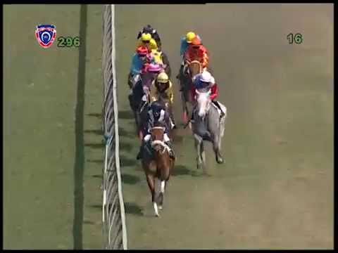 2016.10.15 Colonel Draper Cup (MRI) - Charles Lytton