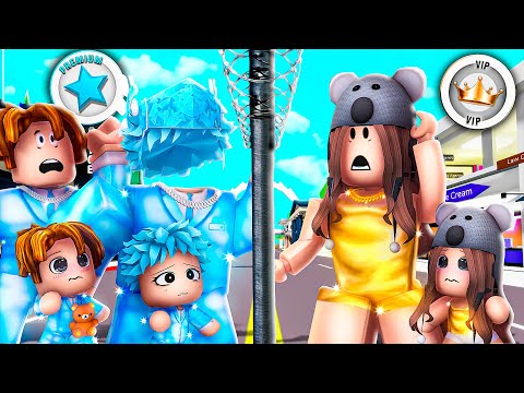 The Border Splits VIP and PREMIUM Family..(Brookhaven)