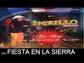 Fiesta En La Sierra - El Tigrillo Palma | Mix 2017