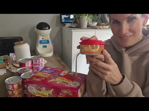 Purina Friskies Prime Filets Wet Cat Food Review – The Variety Pack Your Cat Will Actually Finish?