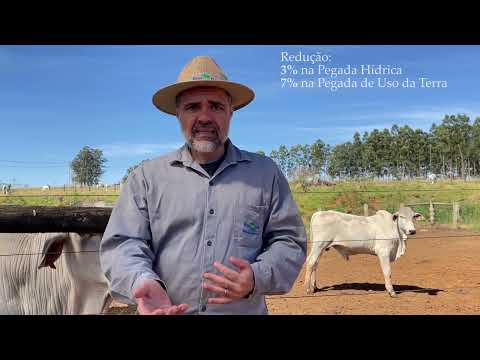 Sombra artificial em confinamento melhora indicadores ambientais