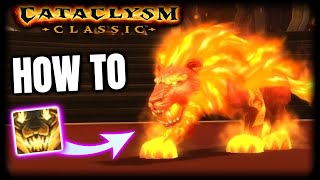 How To: Druids of The Flame Cat Form in Cataclysm Classic