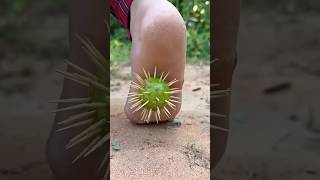 Download lagu 🌵🌵🌵🤣😭😭👟👟😍🥰Introducing the 'VitaWear SmartBand,' a next-generation wearable gadget🙏 mp3