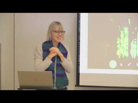 15. Hearing and Speech