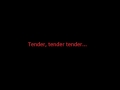 Tender is the night lyrics.wmv