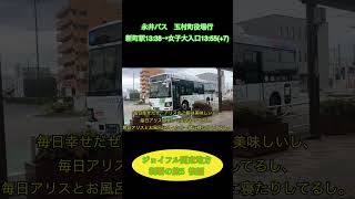 ジョイフル関東地方制覇の旅5  後編　#ジョイフル #タコライス #チョコレート #貨物列車 #永井バス