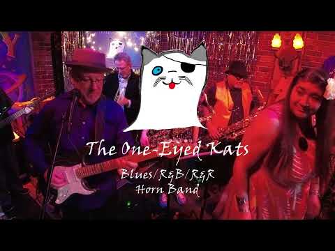 The One-Eyed Kats video.