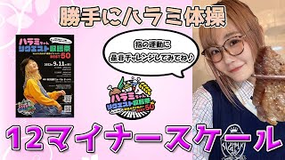 ハラミ体操全12マイナースケール　～元楽器屋店員のDTM～