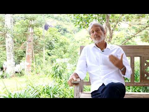 Estudos sobre o feitio do Santo Daime