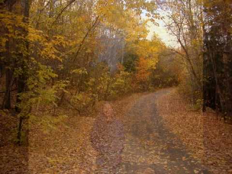 Happy Birthday Laila!