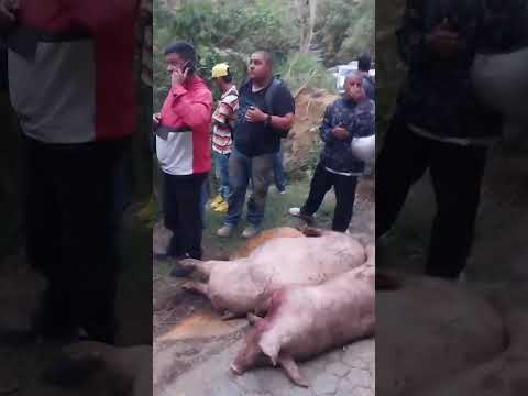 🚨 Accidente en la vía San Antonio de Prado – Armenia – Heliconia 🚨