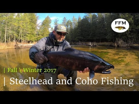 Michigan Fall \ Winter Steelhead and Coho Fishing ACTION