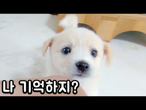 아이콘
