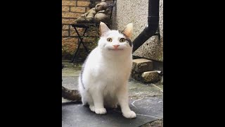 寝ぼけ眼にパズル