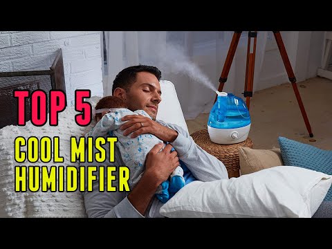Best Cool Mist Humidifier