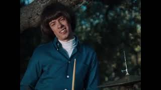 The Seeds - &quot;Two fingers pointing at you&quot; (1967)