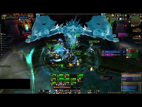 Wolf Spirit - EU - Conseil des élus HM