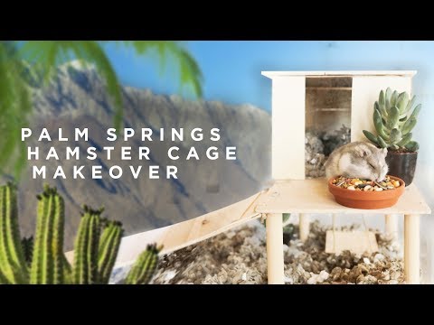MINIMAL PALM SPRINGS HOME MAKEOVER.. (for a hamster)
