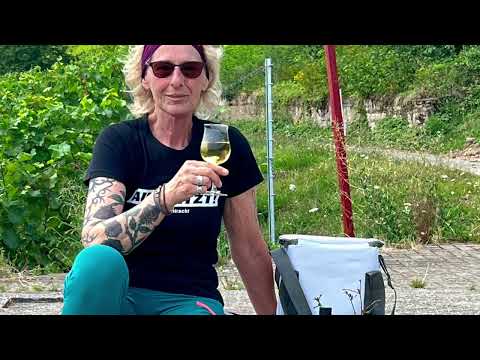 Rüdesheim   walk like a local Juli 2024