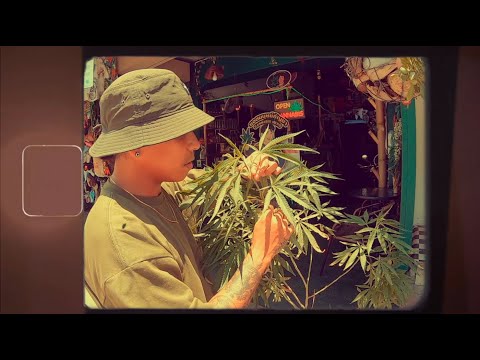 YABAI - SAN TAYO ( Official Music Video )