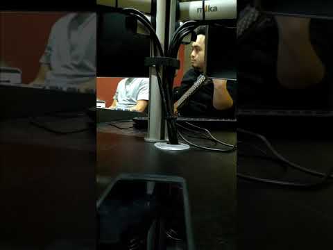 Velvet & Marsha - Oi Gaman (Bass Recording Session)