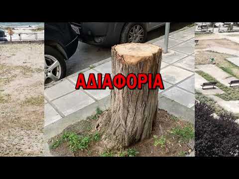 Προβολή στο YouTube
