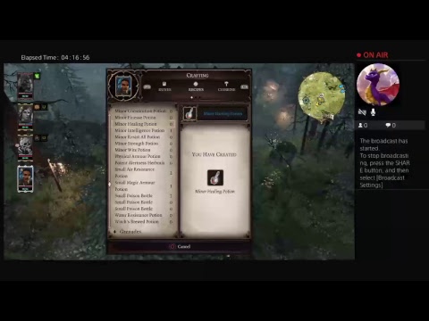 Divinity 2 os 4 player coop  walkthrough part 8