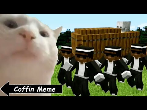 Coffin Meme but Cat is Vibing in Minecraft Part 3