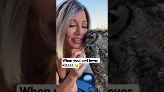 Giving an Owl big kisses #shorts #owls