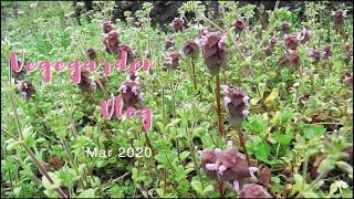 【春の土づくり】家庭菜園Vlog 2020年3月