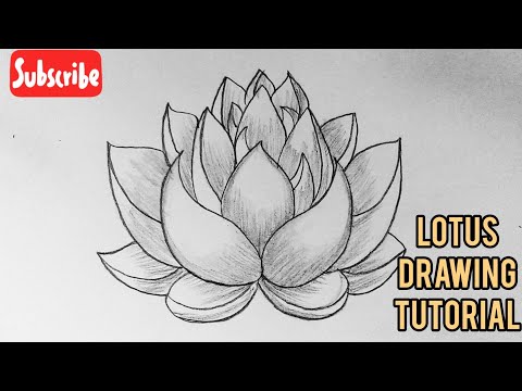 How To Draw A Lotus Flower Easy Step By Step