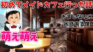 【猫ミーム】大学生が初めてメイドカフェ行った話 #猫ミーム  #猫ミーム日常