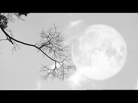 video frame placeholder