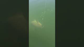 LOWRANCE Sonar EAGLE Eye 9 LIVE