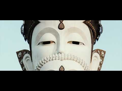 Swarm - A McGloughlin Brothers Film / Music by Max Cooper