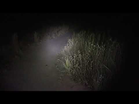 Found footage horror be like