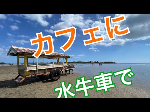 El PASEO de esta vez: Carro de búfalos de agua - Ir a un café con un libro - Isla Yubu, Isla Yubu Chaya