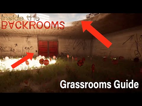 Inside the Backroom: Grassrooms Guide