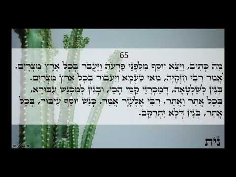 Happy day Light warriors!!! ZOHAR daily reading Miketz 65-68 Love & Light
