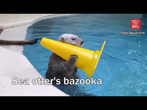 ラッコのバズーカ (Sea otter's bazooka)