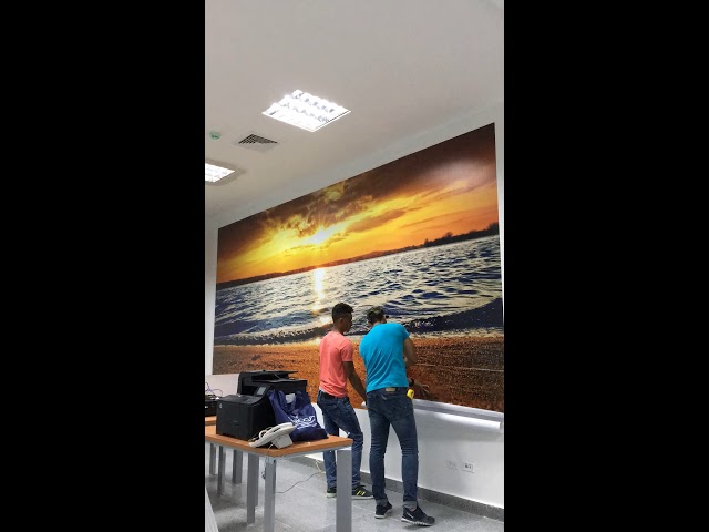 Vídeo relacionado con FANMATS 30810 Nashville Predators - Adhesivo decorativo (gran tamaño)