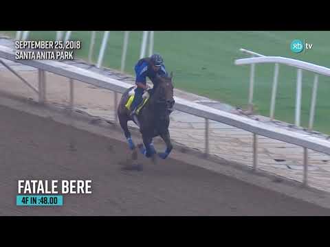 Fatale Bere - Best of the Morning - Sept. 25, 2018