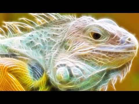 Everything Everything - No Reptiles (Royalston Remix)