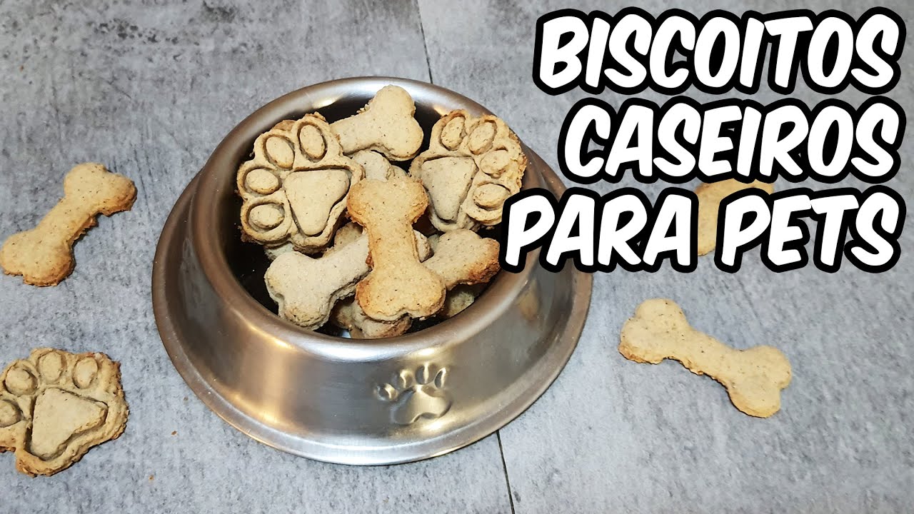 ⭐ BISCOITOS CASEIROS PARA CACHORRO | FÁCIL E BARATO | PETISCO PARA PETS ⭐