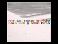 My Teenage Stride - Ears Like Golden Bats
