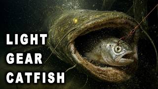 Big Catfish on the Light Gear You Already Own