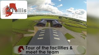 Choisir le sexe de son poulain : c'est désormais possible